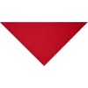 Bandana triangle
