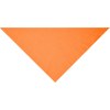 Bandana triangle