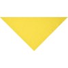 Bandana triangle