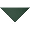 Bandana triangle