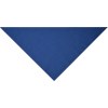Bandana triangle