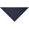 Bandana triangle