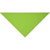Bandana triangle