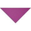 Bandana triangle