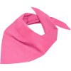 Bandana triangle