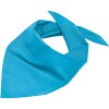 Bandana triangle