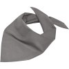 Bandana triangle