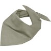 Bandana triangle
