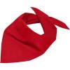 Bandana triangle