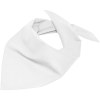 Bandana triangle