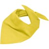 Bandana triangle
