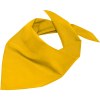 Bandana triangle