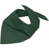 Bandana triangle
