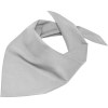 Bandana triangle
