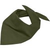 Bandana triangle