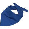 Bandana triangle
