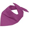 Bandana triangle