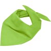 Bandana triangle
