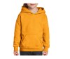 Sweat capuche enfant