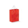 Sac papier Grand