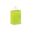 Sac papier Grand