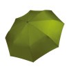 Mini parapluie pliable