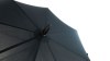 Parapluie - Campbell