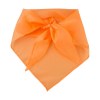 Capra Capra foulard