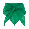 Capra Capra foulard