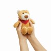 Peluche ours TUBBS