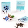 SACHET DE GRAINES 62 x 80 MM