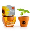KIT DE PLANTATION 55MM TERRE CUITE