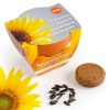 KIT DE PLANTATION 55MM TERRE CUITE