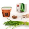 KIT DE PLANTATION 55MM TERRE CUITE