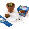 KIT DE PLANTATION 55MM TERRE CUITE