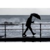ALBERT. Parapluie en pongee 190T avec ouverture automatique