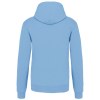 Sweat-shirt capuche contrastée homme