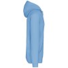 Sweat-shirt capuche contrastée homme