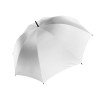 Parapluie tempête