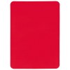 Carton d'arbitre