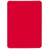 Carton d'arbitre