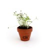 Kit plantation terre cuite Ø6cm