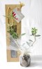 Plant d'arbre sac kraft - Feuillus