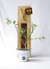Plant d'arbre sac kraft - Feuillus