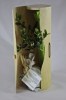Plant d'arbre tube bois - Feuillus