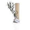 Plant d'arbre tube bois - Prestiges