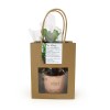 Plante prestige pot céramique ø7cm