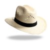 Chapeau pail. bl. STETSON
