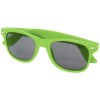 Lunettes de soleil Sun Ray
