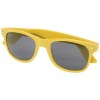 Lunettes de soleil Sun Ray